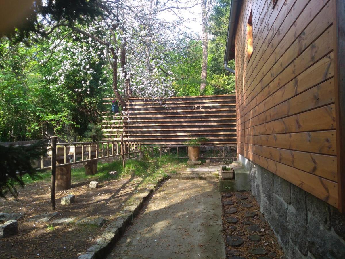 Apartman Hf Liberec Exterior foto